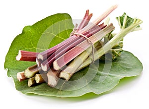 Rhubarb stalks.