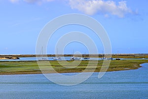 Ria Formosa nature reserve photo