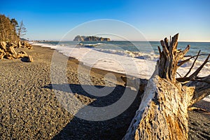 Rialto Beach with driftwood and pebbly sand in Washington State