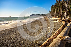 Rialto Beach with driftwood and sea stacks in Washington State