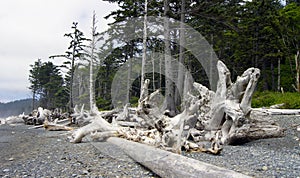 Rialto Beach, Olympic National Park, Washington State, United States