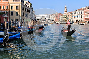 Rialto Bridge and Gondolas, Venice - Italy