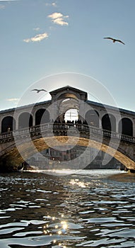 Rialto Bridge in Venice