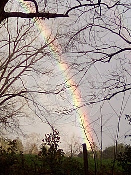 Rianbow after a morning shower