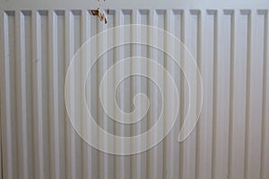 Ribbed blade heater of the heating system