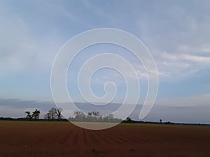 Ribbed looking clouds over Field