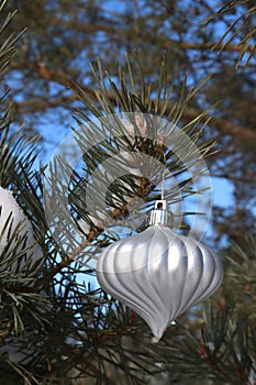 Ribbed white pointed ball hanging from outdoor evergreen tree in the snow