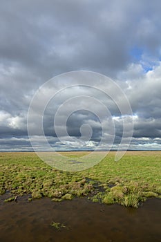 Ribble Marshes