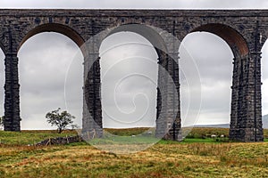 Ribblehead Viaduct - three arches