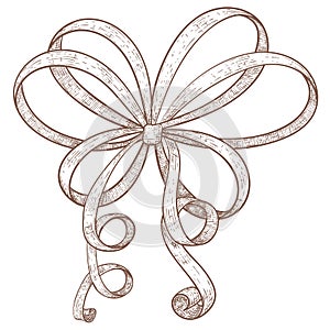 Ribbon bow. Hand drawn grunge sketch