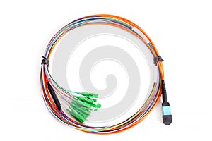 Ribbon fiber optic fun out patchcord with connector MTP