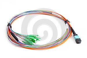 Ribbon fiber optic fun out patchcord with connector MTP