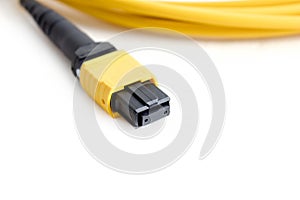 Ribbon fiber optic patchcord with connector MTP