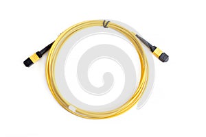 Ribbon fiber optic patchcord with connector MTP photo