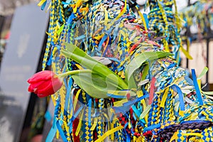 Ribbons and flowers at the memorial to the fallen heroes of euromaidan on the anniversary of the events. Kiev