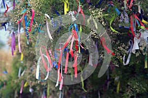 Ribbons on a tree for making wishes