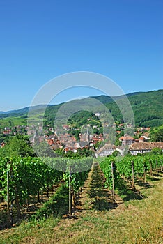 Ribeauville,Alsace