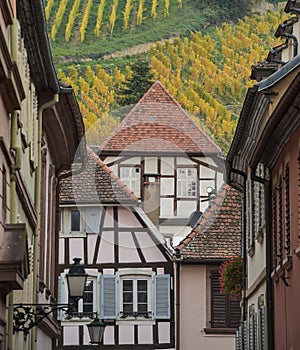 Ribeauville, Bas-Rhin, Alsace, exterior old half-timbered houses, vineyard