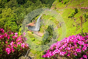 Ribeira dos Caldeiroes Park in Sao Miguel, Azores