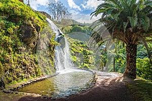 Ribeira dos Caldeiroes Park in Sao Miguel, Azores photo