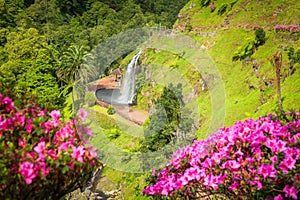 Ribeira dos Caldeiroes Park in Sao Miguel, Azores photo