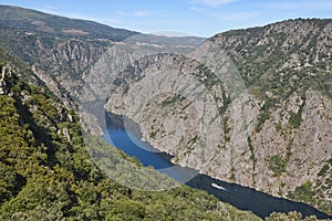 Ribeira sacra terrace forest and Sil river canyon in Galicia