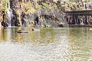 Ribeirao Preto city park, aka Dr. Luis Carlos Raya