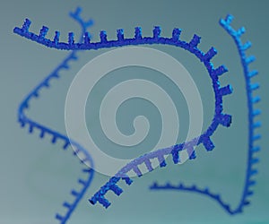 Ribonucleic acid (RNA) in blue 3d rendering