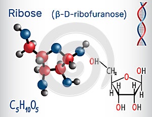 Ribose ÃÂ²-D-ribofuranose molecule, it is a pentose photo