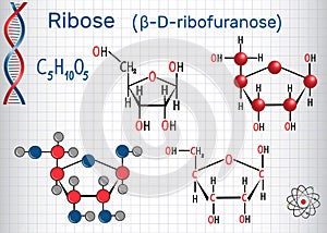 Ribose ÃÂ²-D-ribofuranose molecule, it is a pentose photo