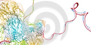 Ribosome as part of an biological cell constructing messenger rna molecules photo