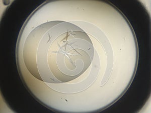 Ribosome crystal