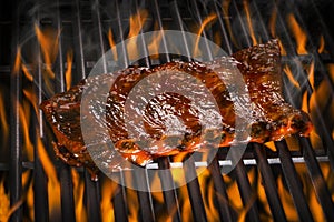 Ribs on a Flaming Hot Grill