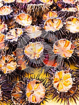 Ricci di mare (sea urchins)