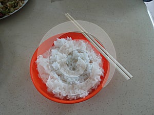 Rice