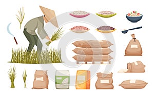 Rice bags. Agricultural products brown and white rice transporting food ingredients vector illustrations