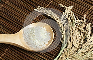 Rice baldo in wooden spoon