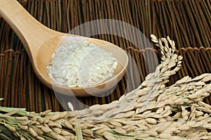 Rice baldo in wooden spoon