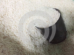 Rice basmat