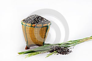 Rice berries in basket
