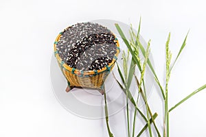 Rice berries in basket