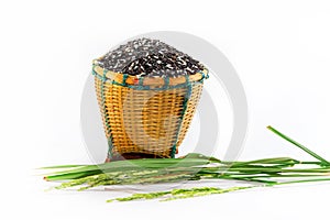 Rice berries in basket