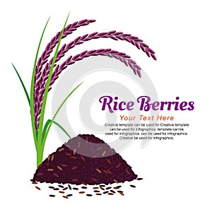 Rice Berries.