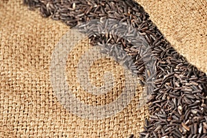 Rice berry on burlap sack