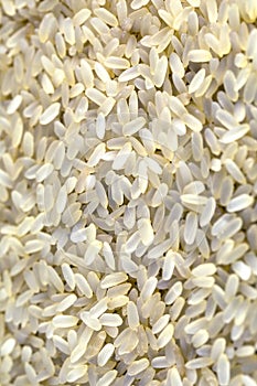 Rice bio grains