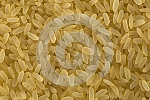 Rice bio grains