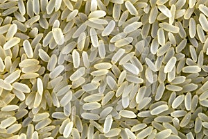 Rice bio grains
