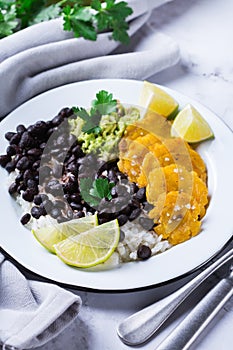 Rice with black beans, fried tostones, plantains, guacamole sauce