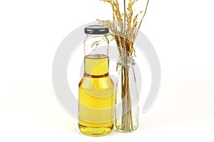 Rice bran oil in bottle glass
