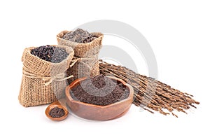 Rice bran ,seeds ,paddy and ear of rice isolated on white background